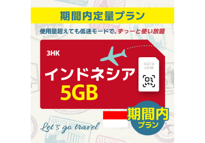 インドネシア - 5GB/期間内（世界 55カ国）