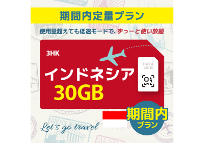 インドネシア - 30GB/期間内（世界 55カ国）