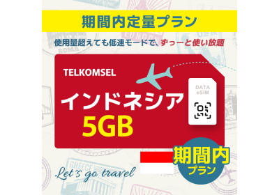 インドネシア - 5GB/期間内（世界 69カ国）