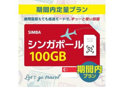 シンガポール - 100GB/期間内