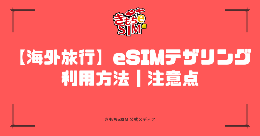 海外でデザリングを利用する方法